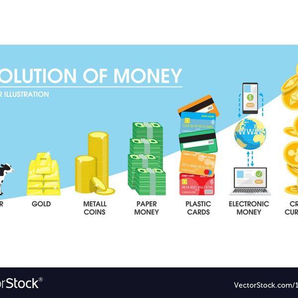 Evolution Of Money Essay Examples
