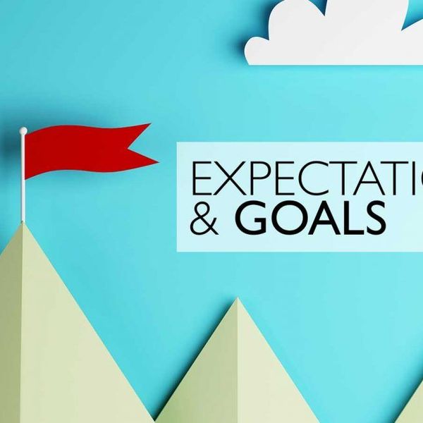 Expectations And Goals Essay Examples