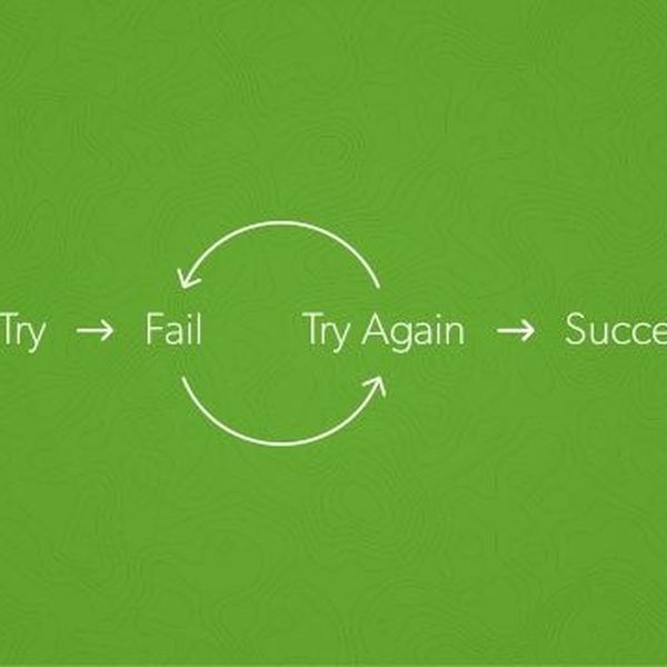 Failure Leads To Success Essay Examples