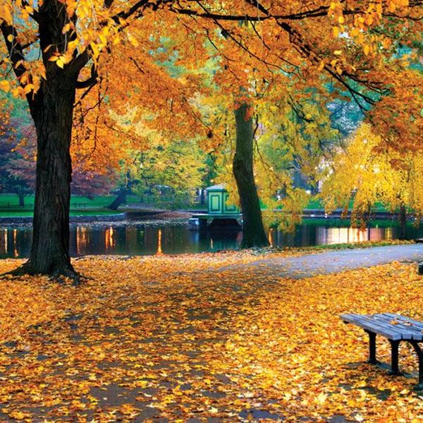 Fall Season Essay Examples