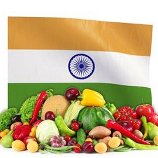 Food Safety In India Essay Examples