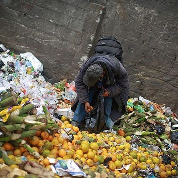 Food Wastage In India Essay Examples