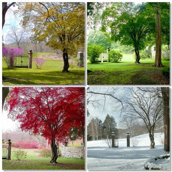 Four Seasons In Pakistan Essay Examples