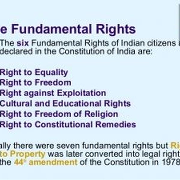 Fundamental Rights Of Indian Citizen Essay Examples