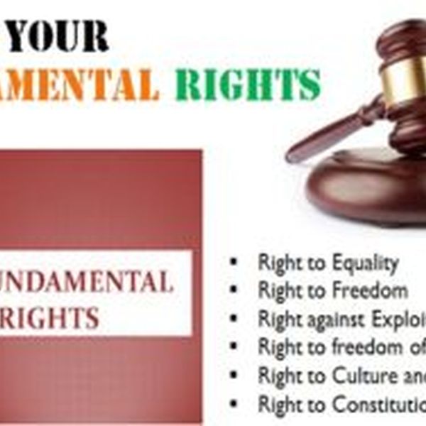 Fundamental Rights Of Indian Constitution Essay Examples