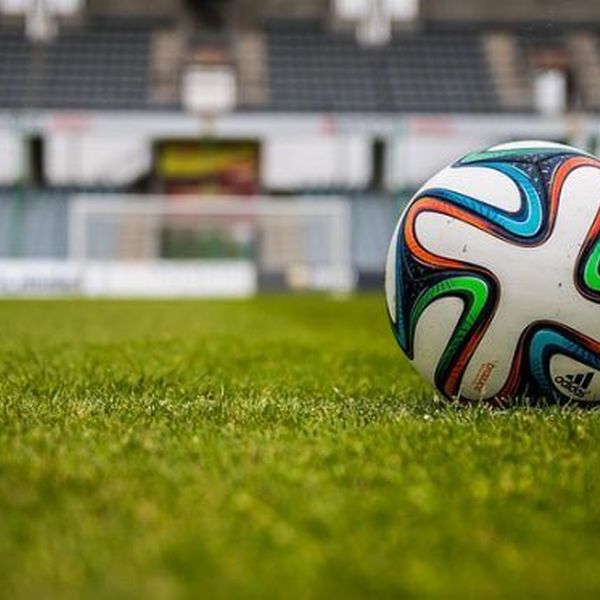 Future Of Sports In India Essay Examples