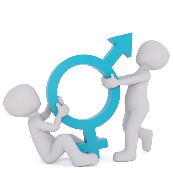 Gender Roles In Modern Society Essay Examples