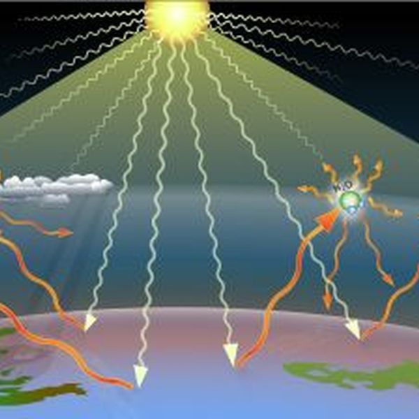 Global Warming And Greenhouse Effect Essay Examples