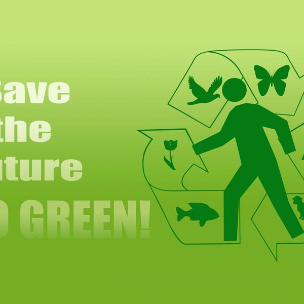 Go Green Save Future Essay Examples