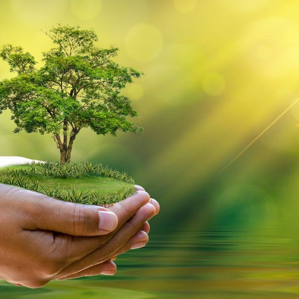 Go Green To Save Environment Essay Examples