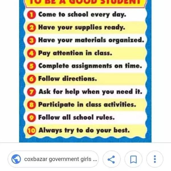 Good Qualities Of A Student Essay Examples