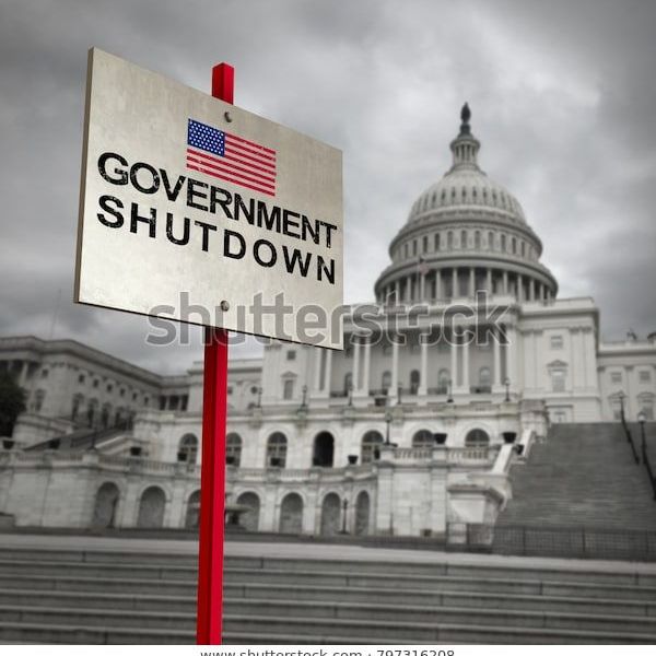 Government Shutdown Essay Examples