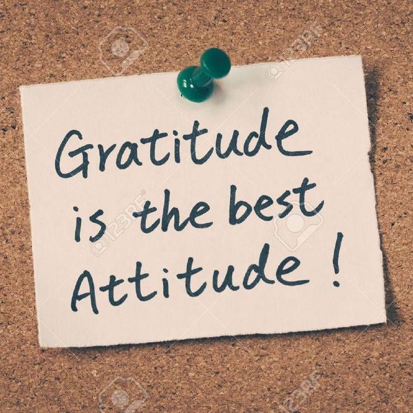 Gratitude Is The Best Attitude Essay Examples