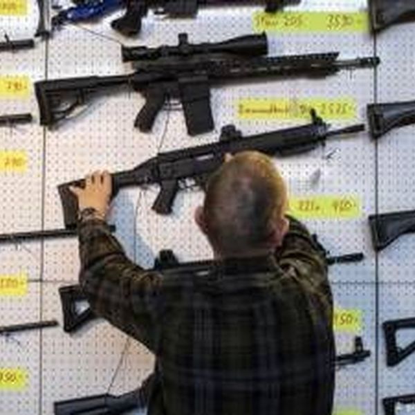Gun Laws Essay Examples