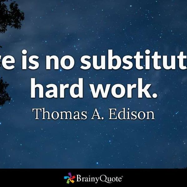 Hard Work Has No Substitute Essay Examples