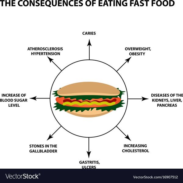 Harmful Effects Of Fast Food Essay Examples
