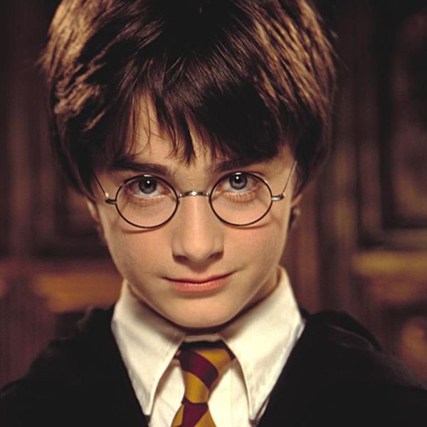 Harry Potter Essay Examples