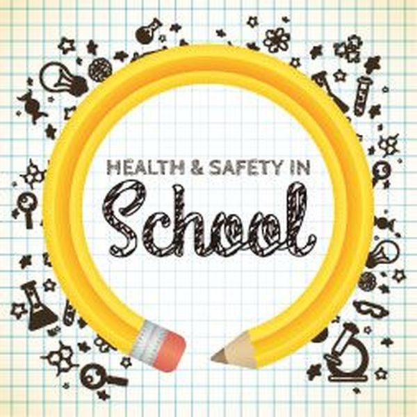 Health And Safety In Schools Essay Examples