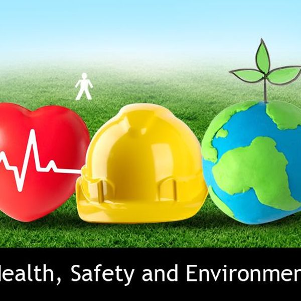 Health Safety And Environment Essay Examples