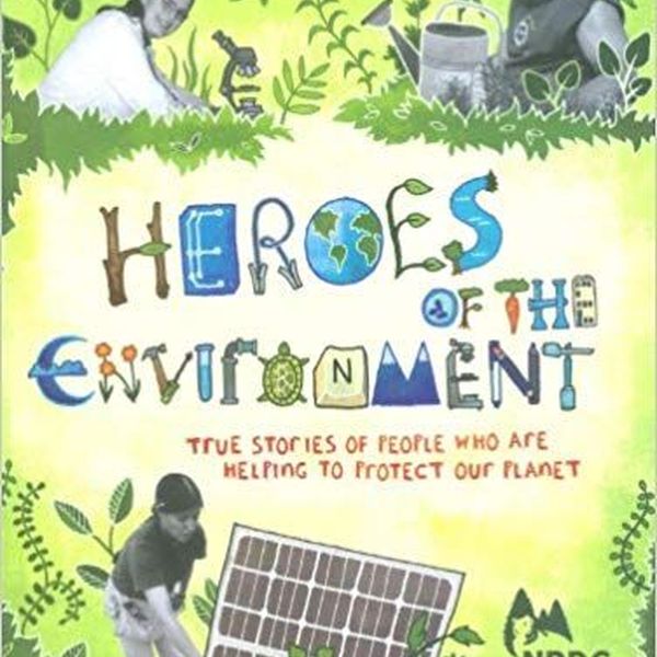 Heroes Of The Environment Essay Examples