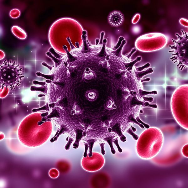 Hiv Virus Essay Examples