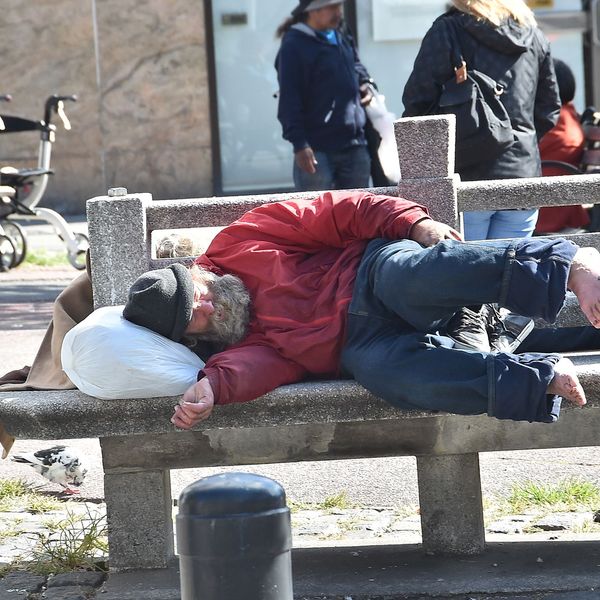 Homeless Essay Examples