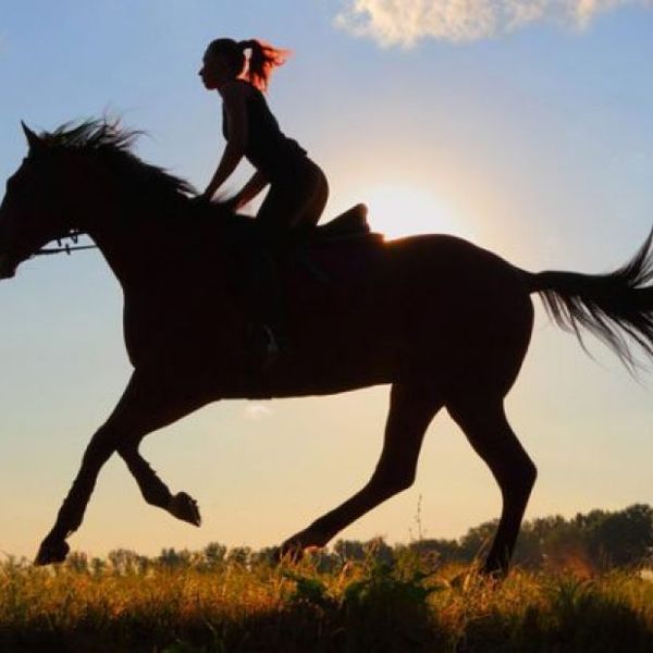 Horse Riding Essay Examples
