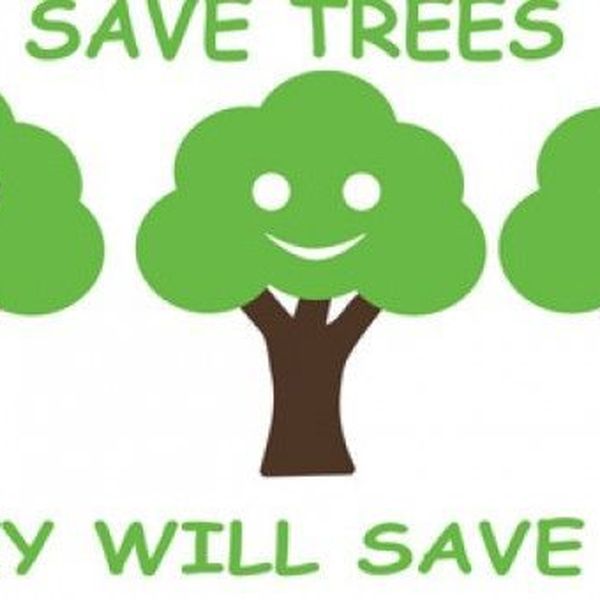 How To Save Trees Essay Examples