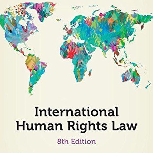 Human Rights Law Essay Examples
