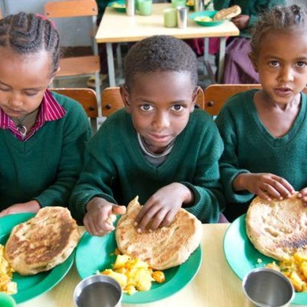 Hunger In Third World Countries Essay Examples