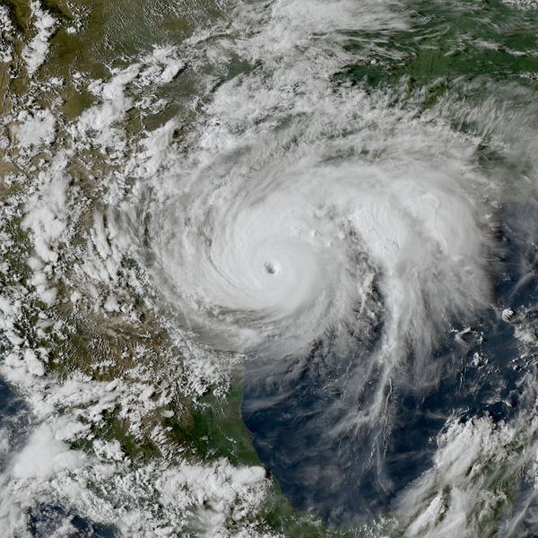 Hurricane Harvey Essay Examples