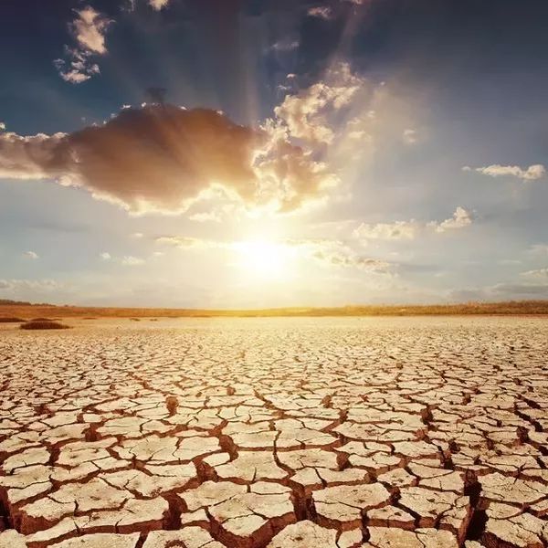 If There Is No Rain Essay Examples