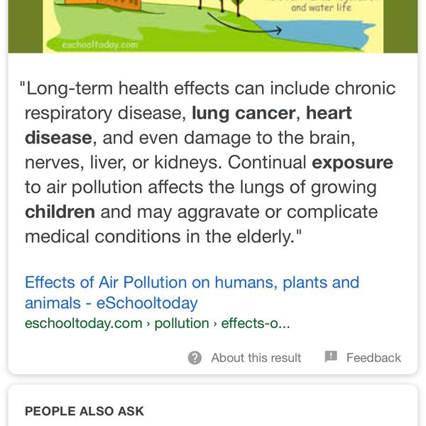 Ill Effects Of Pollution Essay Examples