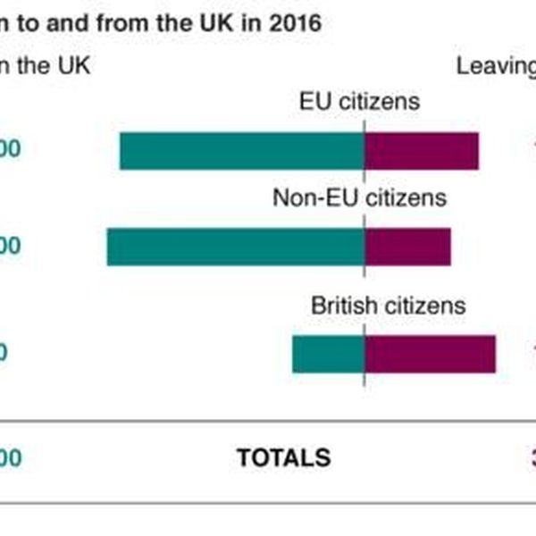 Immigration In The UK Essay Examples
