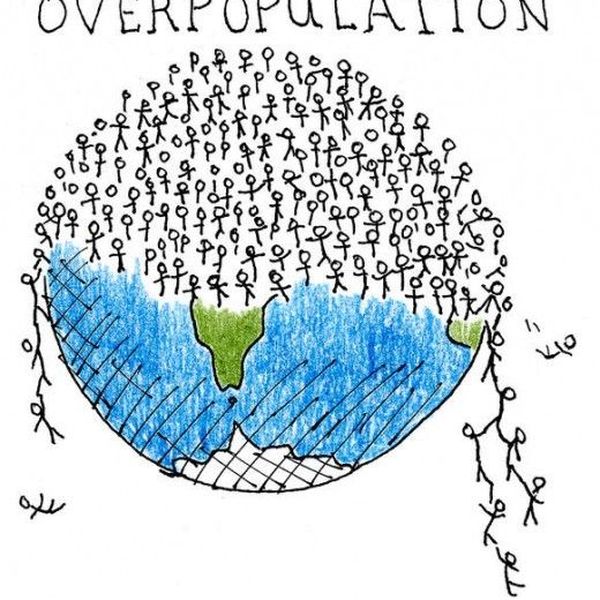 Impact Of Overpopulation Essay Examples
