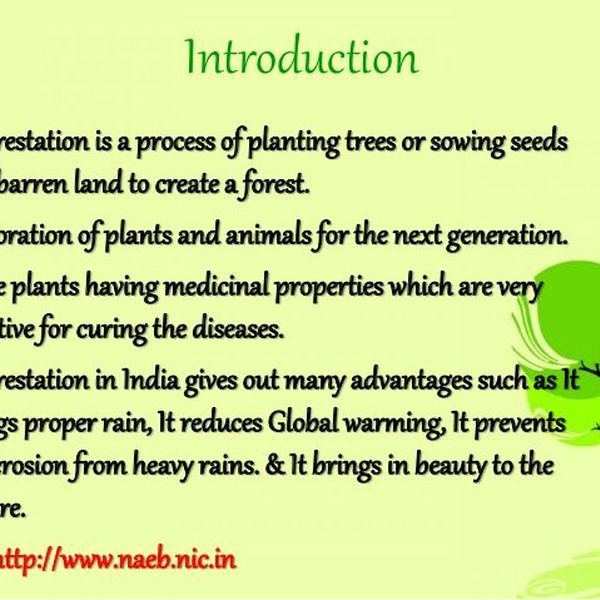 Importance Of Afforestation Essay Examples