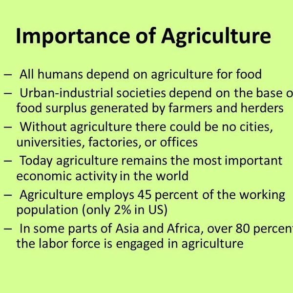 Importance Of Agriculture In Nepal Essay Examples