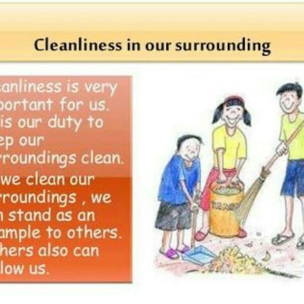 Importance Of Cleanliness In School Essay Examples