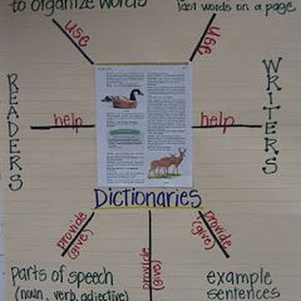 Importance Of Dictionary Essay Examples