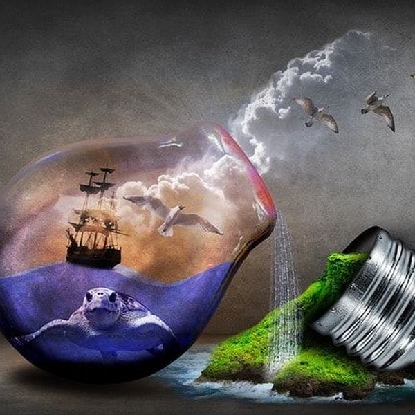 Importance Of Environmental Conservation Essay Examples