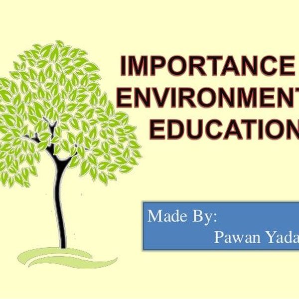 Importance Of Environmental Education Essay Examples