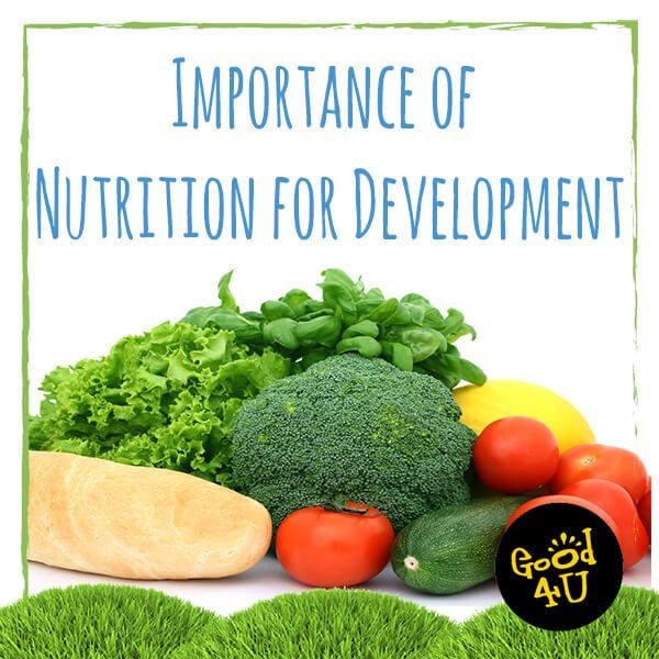 Importance Of Nutrition Essay Examples