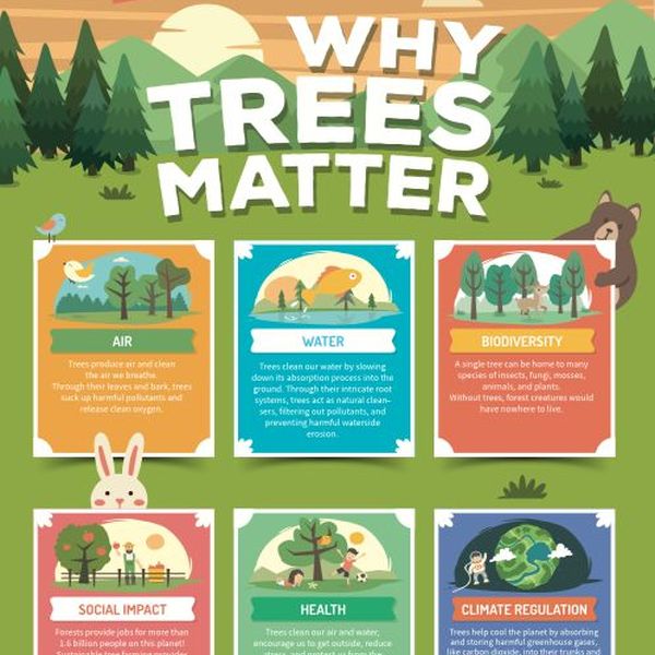 Importance Of Planting Trees Essay Examples