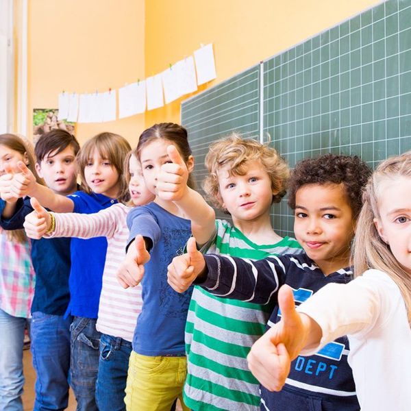 Inclusion In The Classroom Essay Examples