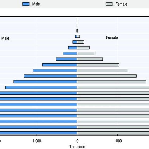 Increasing Population Essay Examples