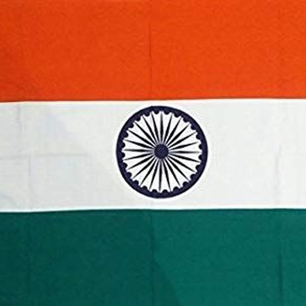 Indian National Flag Essay Examples