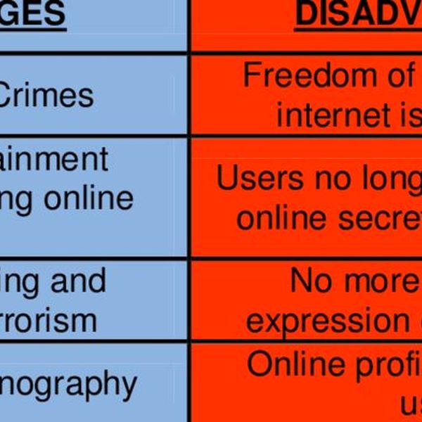 Internet Advantages And Disadvantages Essay Examples