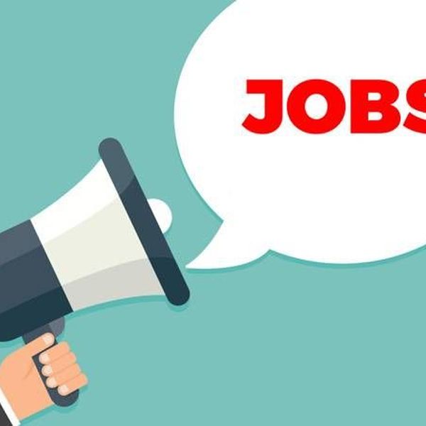 Jobs Essay Examples