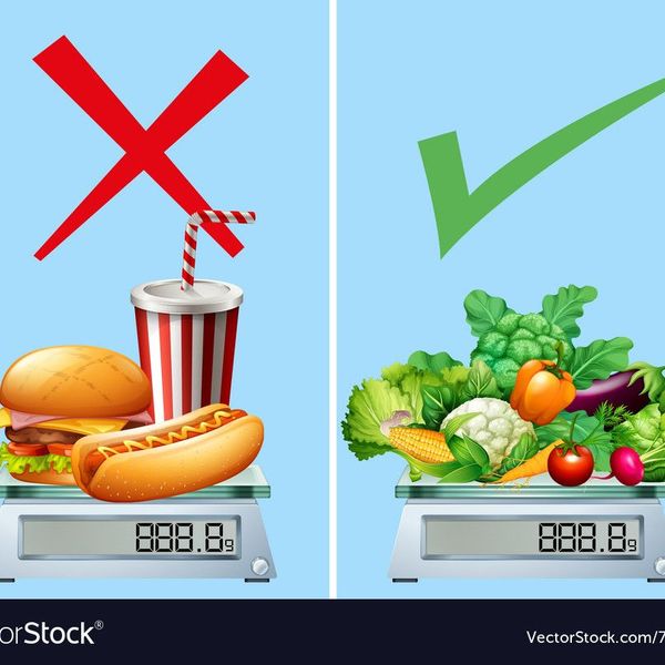 Junk Food And Healthy Food Essay Examples
