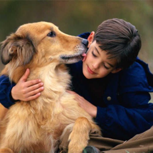 Keeping Pets At Home Essay Examples